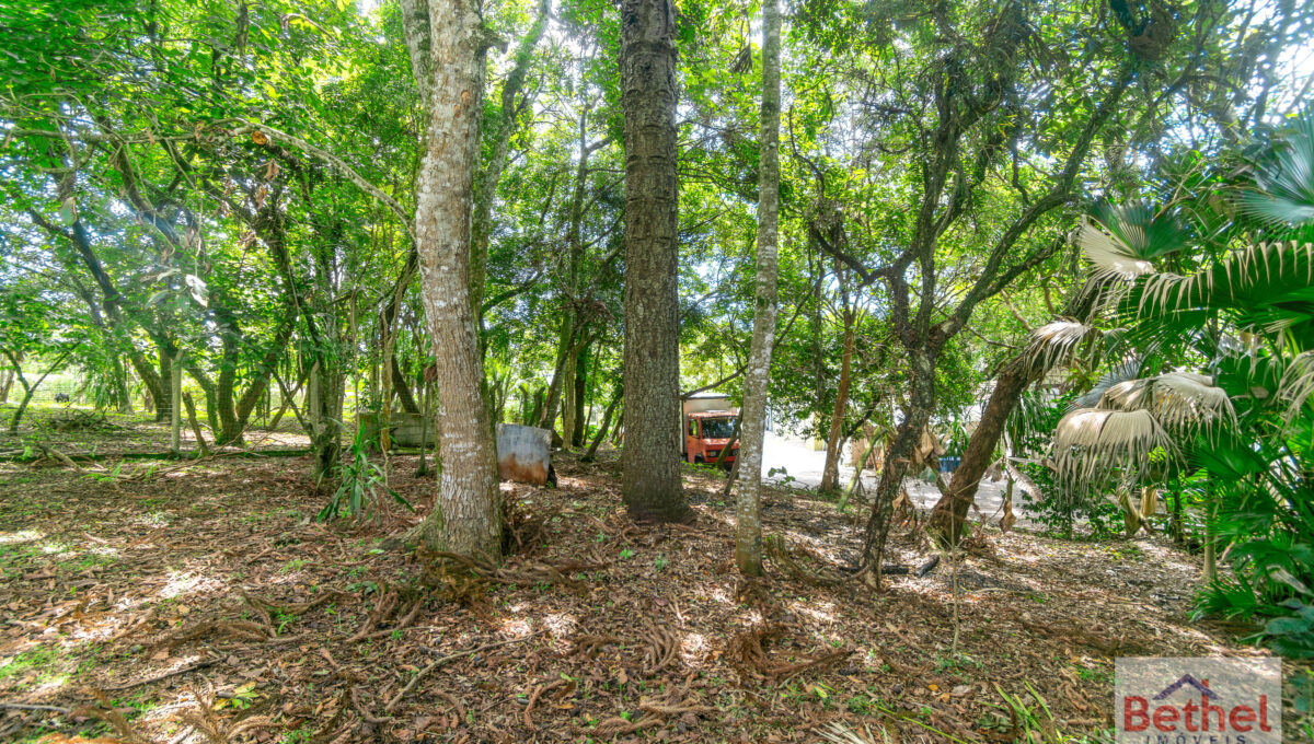 Av. Gianni Agnelli x Travessa Cecato (31)