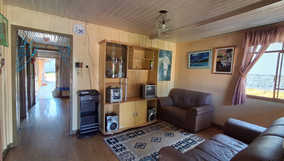 WhatsApp Image 2026-02-05 at 15.46.10 (4)