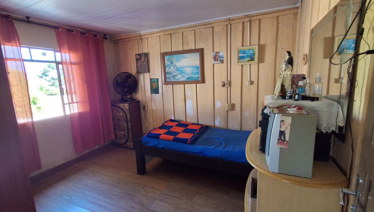 WhatsApp Image 2026-02-05 at 15.46.11