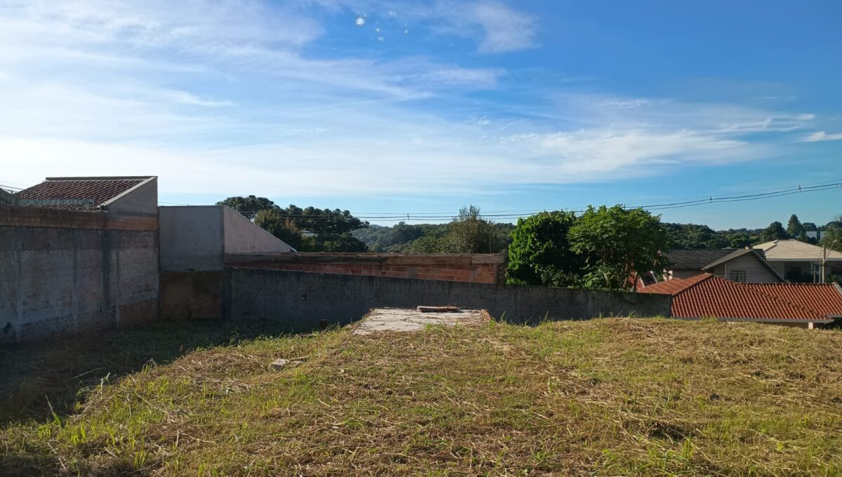 IMG-20260501-WA0006